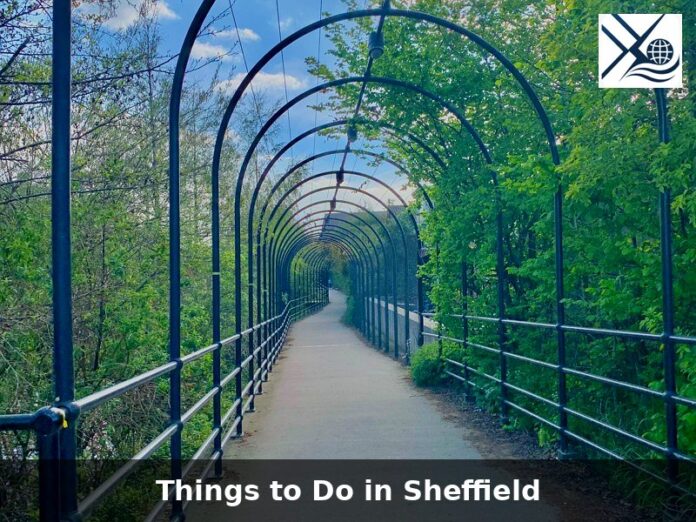 Things to Do in Sheffield – Green Parks, Industrial Heritage, and Scenic Walks