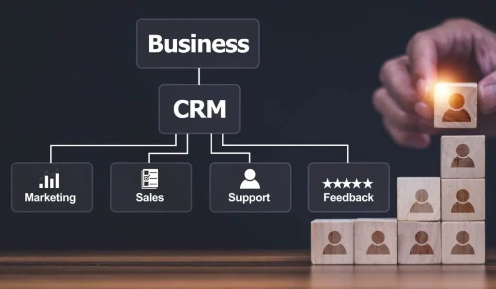 Dynamics CRM for SMES Customer Insights 